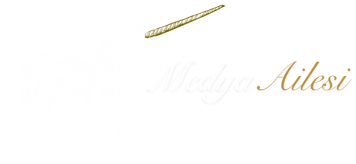 Medyaailesi